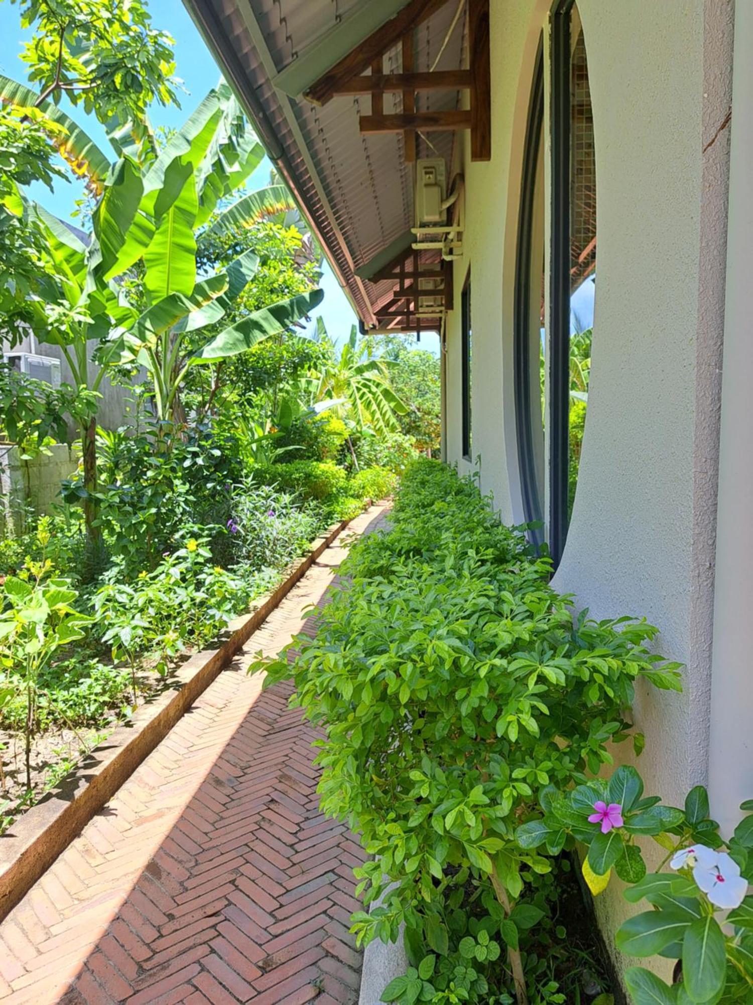 Golden Lotus Spa & Homestay Ap Thien Phuoc Exteriör bild