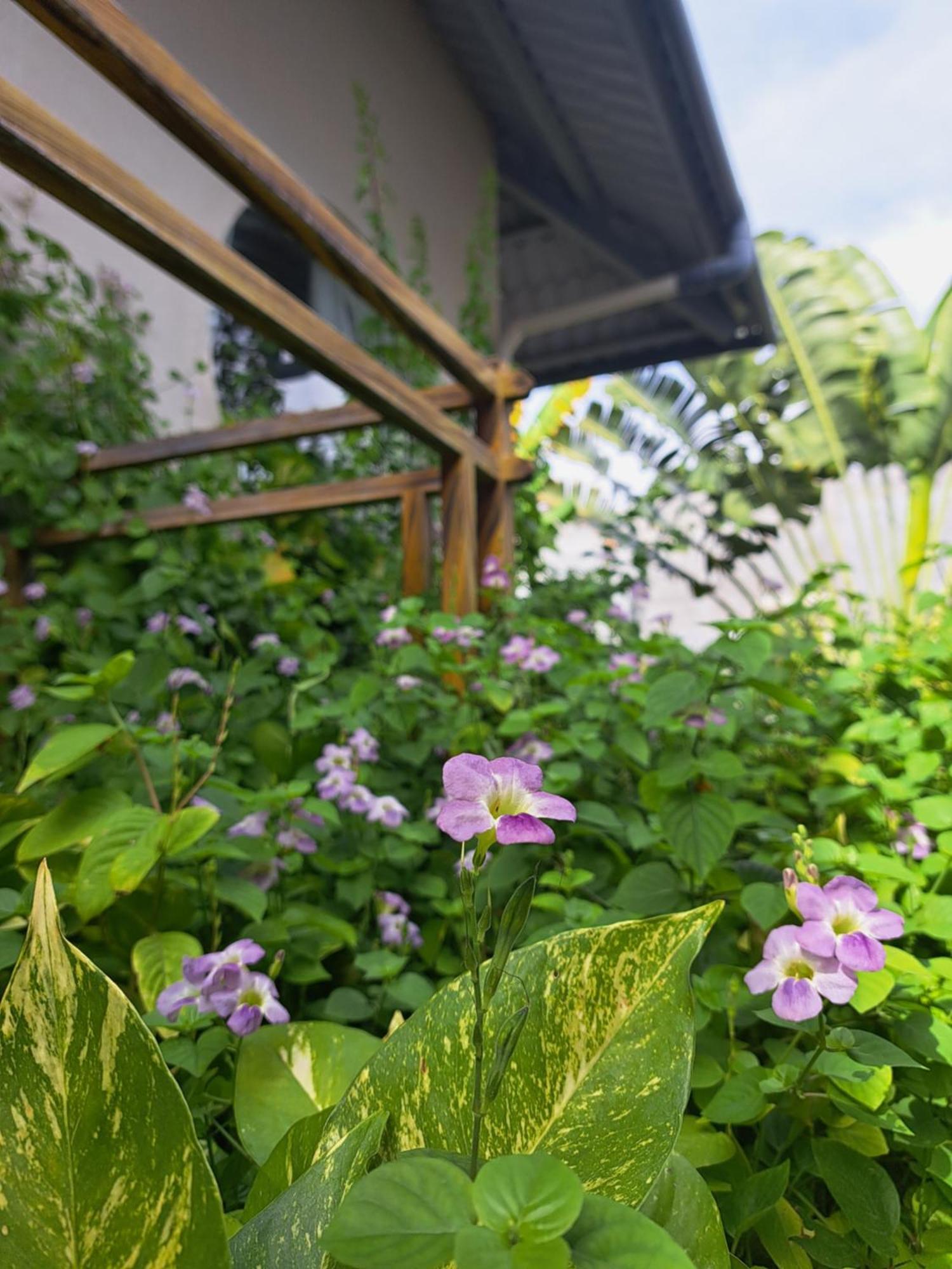 Golden Lotus Spa & Homestay Ap Thien Phuoc Exteriör bild